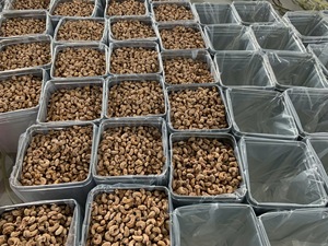 Organic Stainless Steel Square Tin Container for Raw Cashew <b>Nut</b> Storage 10kg Capacity ISO Certified Wholesale Bulk Supply - Product Image 3