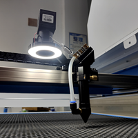 Machine de découpe Laser Co2 avec caméra Ccd pour découpe d'étiquettes de tissu CCD CO2 machine de découpe laser 1310