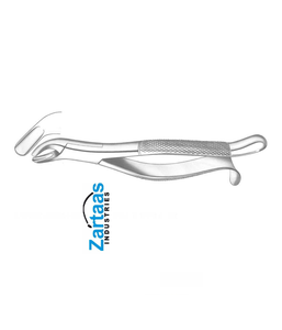 Fórceps de extracción de acero inoxidable de alta calidad HARRIS molares superiores derecha Fig 18R exportadores y fabricante - Product Image 4