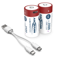 Paket Baterai Lithium-Ion 2500mAh Isi Ulang USB Tipe-C Ultra Portabel Berkualitas Tinggi 1.5V Densitas Energi Tinggi Ramah Lingkungan 1500