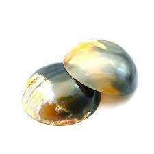 Bol de vaisselle en corne de buffle de luxe Articles de cuisine Bol en corne pour la maison et l'hôtel Pour servir des aliments Bol décoratif PAR Super Enterprises - Product Image 3