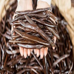 Premium Food Grade Vanilla <b>Beans</b> Organic Bourbon Vanilla 2-Year Shelf Life Small Commercial - Product Image 5