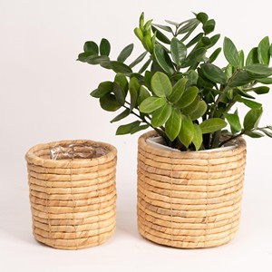 Panier de décoration pour plantes, pot à plantes, excellent prix, pots de fleurs écologiques, pots en fibre de jacinthe d'eau - Product Image 4