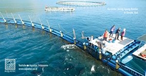 Jaula redonda AQT de HDPE de la MEJOR CALIDAD, diámetro de 10m a 50m, para piscicultura, con una vida útil de más de 20 años con mantenimiento regular. - Product Image 4