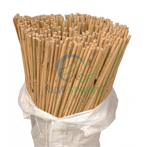 Vietnam Biodegradable Bamboo Garden Stakes for Sustainable Landscapes - Product Image 6