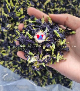 POLVO DE FLORES DE FLORES DE MARIPOSA NATURAL AZUL VIETNAMITA PARA ADELGACER - Empaque a Granel, Certificado ISO22000, Té Saludable, Colorante Alimentario Orgánico - Product Image 4