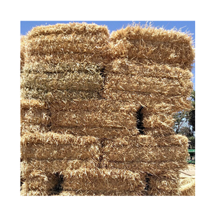 หญ้าเทอมิโธ่คุณภาพ หญ้าข้าวโอ๊ตคุณภาพ/ หญ้าเทอมิโธ่และโคลเวอร์ลูเซิร์นในก้อน/หญ้าข้าวโอ๊ตหญ้าเบอร์มิวดา - Product Image 4