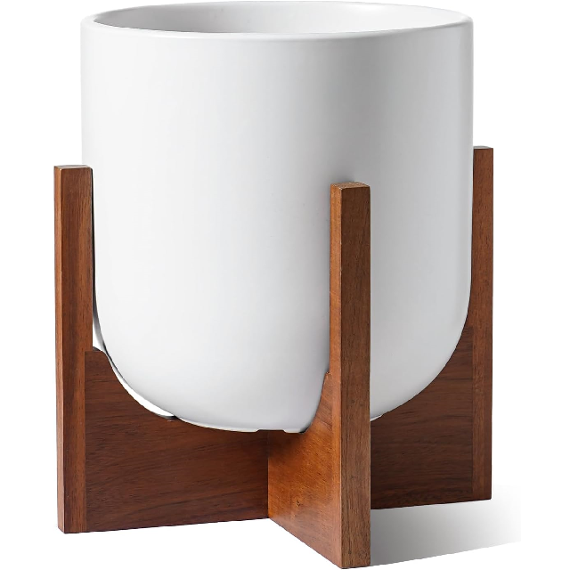 ตามที่แสดง