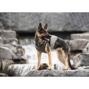Chaleco Refrigerante de Lujo para Perros Legacy Paws con Licencia del Ejército de EE. UU., Edición Gris de Lujo Transpirable con Patrón de Puntos y Material de Malla - Product Image 2
