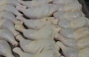 Parrilla de pollo congelada Halal orgánica de calidad superior, bajos en carbohidratos, estándares internacionales de higiene estrictamente procesados para exportación - Product Image 5