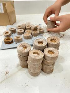 เม็ดมะพร้าวอัดเม็ดสำหรับปลูก - Product Image 3