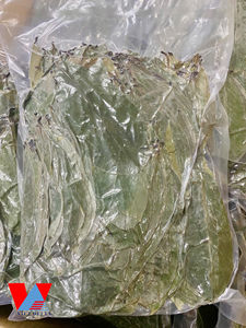 MEJOR PRECIO HOJA DE GUANÁBANA SECADA/ HOJAS DE GRAVIOLA DE VIETNAM / Sra. Lima - Product Image 4