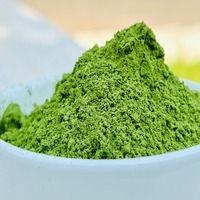 Poudre de feuilles de Moringa sauvage 100% pure, végétalienne et sans gluten, qualité alimentaire, en vrac, conditionnement en bocal Mason et en fût, emballée sous vide
