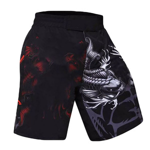 กางเกงฝึกซ้อมมวย MMA รุ่น 2026 TWILL SPORTS คุณภาพสูง ระบายอากาศได้ดี ผลิตจากโพลีเอสเตอร์/คอตตอน ลายมังกรและนกอินทรีสีดำ ทรงตรง - Product Image 2