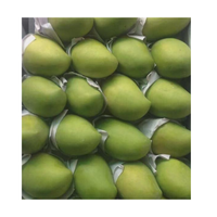 Hoge kwaliteit verse gele mango's, bestseller, goedkoop van 99GD Dong Thap Vietnam, graad A, 12-16cm, 250g