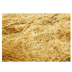 Yatak dolum dokuma ve tarım kullanımları için ideal ucuz fiyata toplu olarak yüksek kaliteli palmiye lifi - Product Image 6