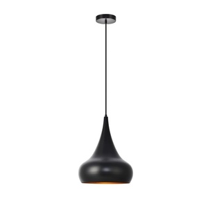 Petite lampe suspendue en métal, idéale pour les espaces compacts, offrant un éclairage décoratif sans envahir les intérieurs - Product Image 4
