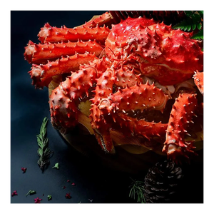 Crabe royal chilien de haute qualité, destiné au commerce en gros à des prix compétitifs - Product Image 4