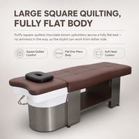 Lit de spa pour la tête, marron chocolat, grand carré matelassé, avec capot de brumisation givré et base en acier inoxydable brossé