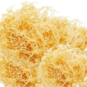 <b>Natural</b> Dried Seamoss High Quality Best Service - Product Image 4