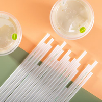 Pailles jetables et biodégradables en PLA noir, vert et coloré de 210 mm pour les restaurants et les bars