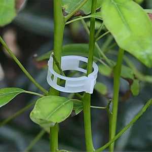 Agricultural Plastic Garden Clips Plant <b>Support</b> Trellis and Vine Clips for <b>Tomatoes</b> Vegetables <b>Tomato</b> Clips for Garden <b>Support</b> - Product Image 5