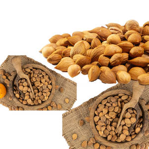 <b>Apricot</b> <b>Kernels</b> | Hygienically Packed for Cosmetic Raw Material - Product Image 6