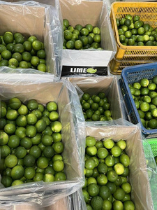 Lima fresca sin semillas de buena calidad limón verde al por mayor precio barato - Product Image 2