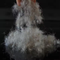 Rembourrage en duvet d'oie gris de haute qualité léger, chaud et respirant
