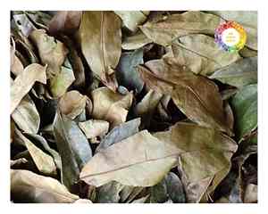 Feuilles naturelles de Graviola du Vietnam Ingrédient de thé au corossol de qualité supérieure emballé hygiéniquement pour les acheteurs en gros et au détail dans le monde - Product Image 4