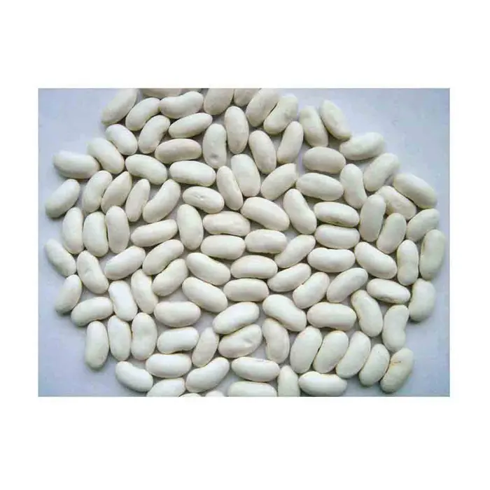 새로운 작물 흰색 신장 콩 판매 붉은 신장 콩 수출자 구매 붉은 신장 콩 최고의 가격 어두운 긴 모양 최고의 가격에