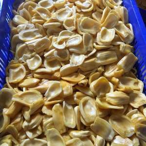 VENTA CALIENTE CON MOQ BAJO |   Jackfruit Congelado IQF de Vietnam - Piezas Enteras Sin Semillas Dulces Naturales Exportación al por Mayor - Sra. Tarina - Product Image 4