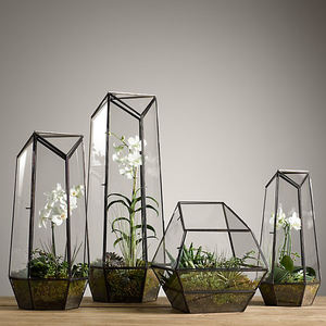 Terrario de cristal alto geométrico de precio más bajo con marco de hierro con acabado negro para decoración de interiores y exhibición de plantas suculentas - Product Image 1