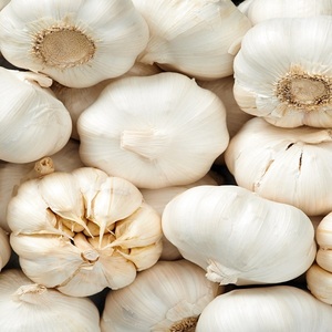 High Quality <b>Fresh</b> Dried <b>Garlic</b> High Quality Ingredients for Cooking Ready for Supply - Product Image 1