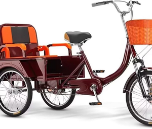Bicicleta Cruiser de 3 Ruedas Plegable con Asiento Ajustable para Pasajero/Carga, Ruedas Todoterreno de 20 Pulgadas, Engranajes Perfectos, El Mejor Cuadro - Product Image 1