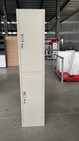 Armoire de rangement en acier pour bureau à 2 portes avec serrure à clé, meuble assemblé, casier