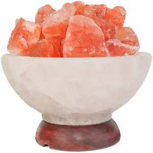 Premium Quality Custom Handmade Natural Himalayan Rock Salt Fire On Ice Abundance Bowl White Bowl w Red Chunks