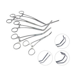 Pince à intestins en acier inoxydable pour animaux de compagnie (chats, chiens), instruments chirurgicaux vétérinaires orthopédiques CE Narham Enterprises - Product Image 1