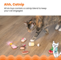Lot de 6 jouets en peluche pour chat, design gâteau et bouteille de vin, avec plumes froissées et herbe à chat, jouets interactifs à mordre et à mâcher