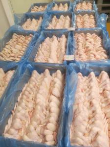 ปีกไก่แช่แข็งแบบข้อต่อครึ่งน่อง - Product Image 5