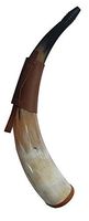 ROYAL NATURAL CRAFT Corne à boire sculptée en coquillage avec symboles vikings, polie, décoration religieuse animale pour la maison, sel naturel de Noël