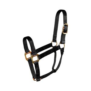 Top qualité, prix de gros, licou de styliste en cuir de cheval, vente disponible chez - Product Image 2