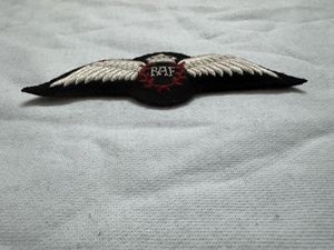 Tốt nhất bán RAF cánh phù hiệu tùy chỉnh thực hiện và trong kho New Arrival phổ biến nhất phù hiệu - Product Image 2