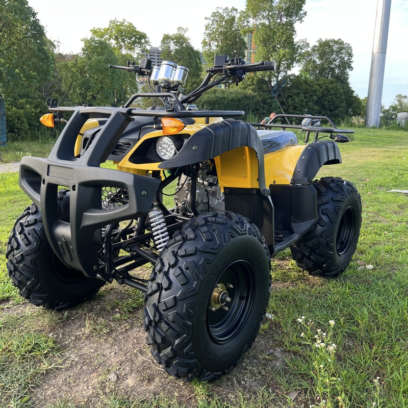 Factory 200cc Gas Powered Automatic ATV