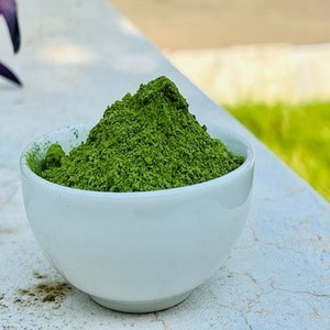Extracto de hoja de Moringa Oleifera seco natural orgánico certificado, suministro sanitario - Product Image 5