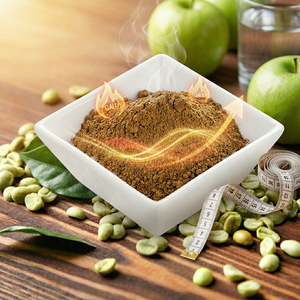 고순도 녹색 커피빈 추출물 50% 클로로겐산 프리미엄 벌크 파우더 천연 체중 감량 항산화원 - Product Image 2