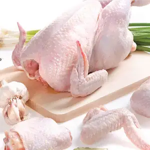 Poitrine de pattes de pieds de poulet congelée de qualité/poulet entier congelé/cuisses et ailes de poulet congelées