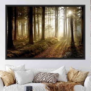 Toile imprimée : Paysage forestier au coucher du soleil - Décoration murale nature, 1P : encadré noir - Product Image 1