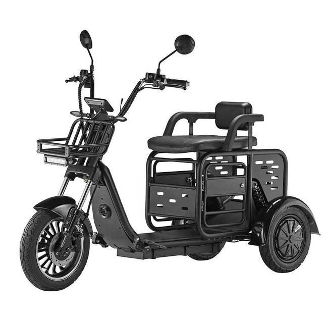 New Mobility Scooter Dog Cat Motorcycle Wholesale 1000w 48v28ah Family Multi-mode 3 Wheel Electric Tricycle