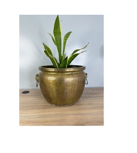 Lightweight metal planter with golden finished design for easy movement and placement in different <b>corners</b> of your home - Product Image 1
